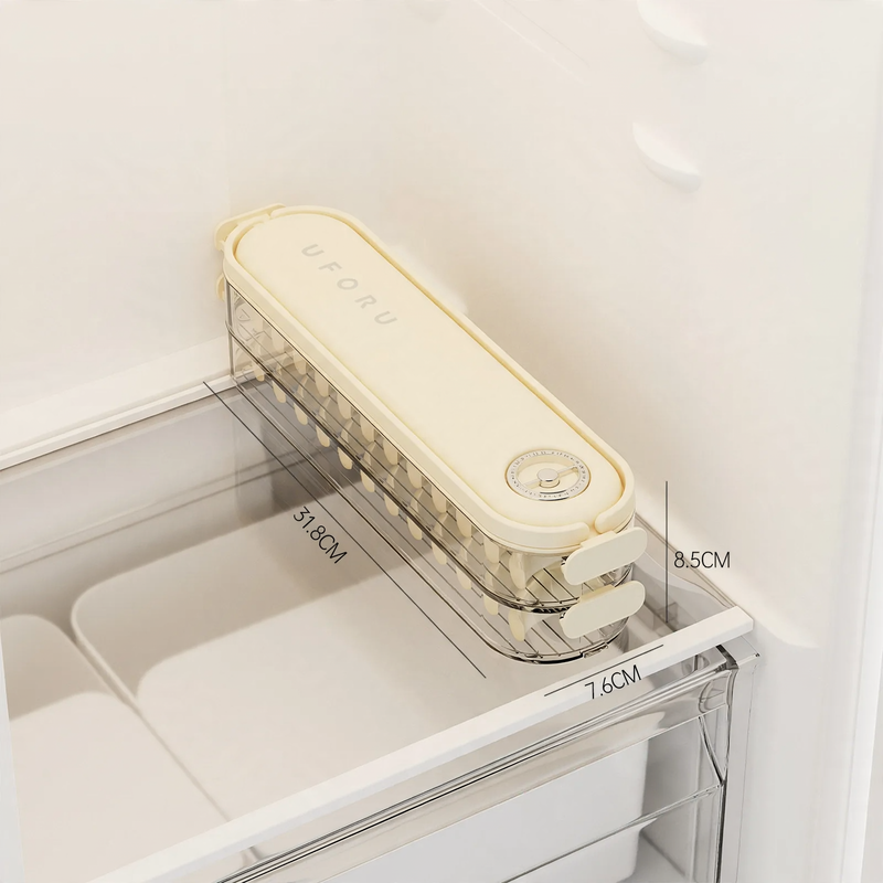 Multi-Layered Plastic Storage Box for Frozen Foods