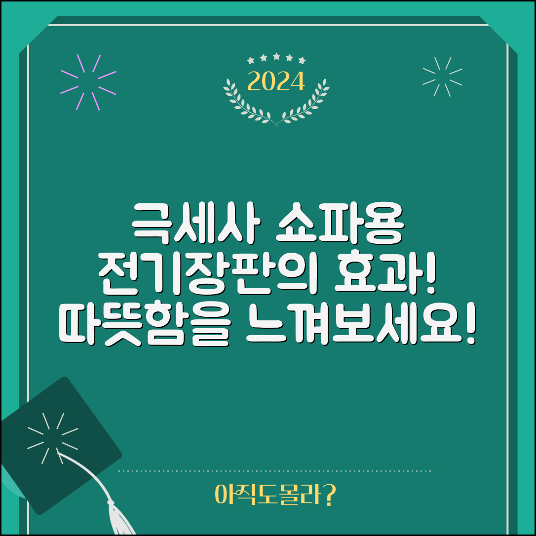 충격적인 극세사쇼파용전기장판의 따뜻한 효과!