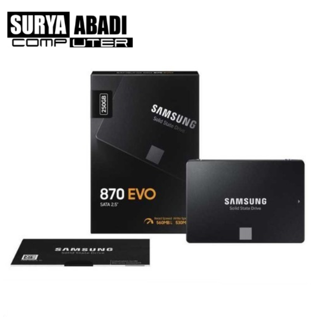SSD SAMSUNG EVO 250 Gb
