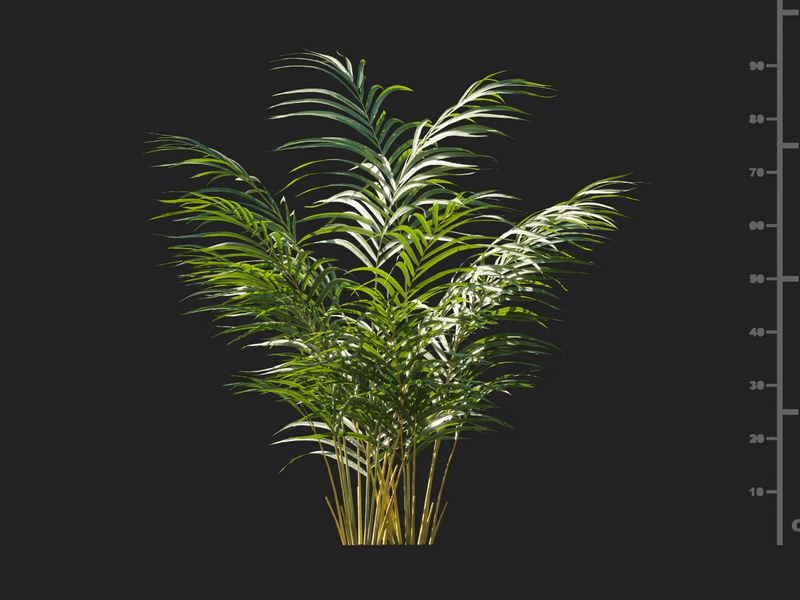 Maxtree - Plant Models Vol.127