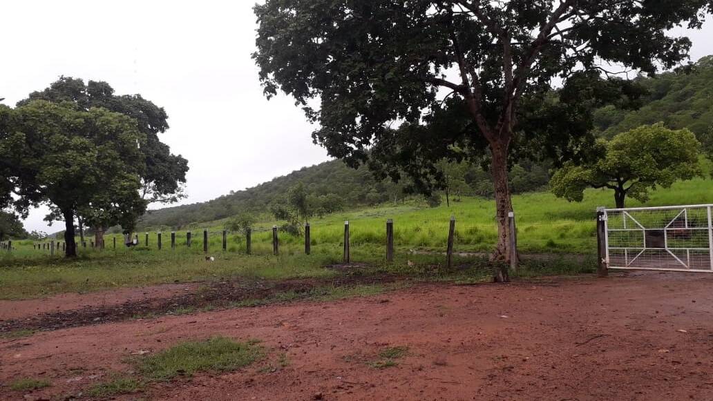 Fazenda em Talisma-TO 7