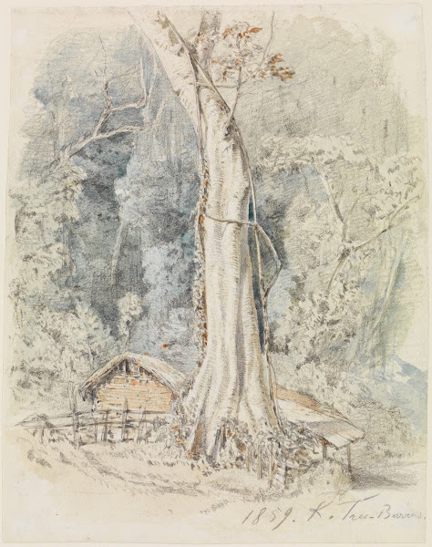 Haus mit Unterstand im Urwald bei Tres Barras 1859
