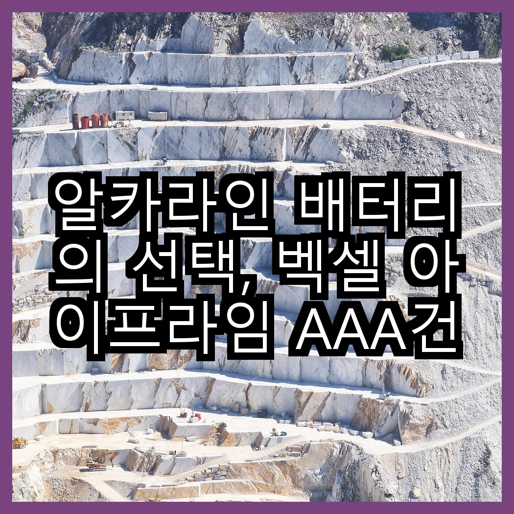 알카라인 배터리의 선택, 벡셀 아이프라임 AAA건전지와 듀라셀 AA 건전지 보관박스팩의 차이는? 썸네일