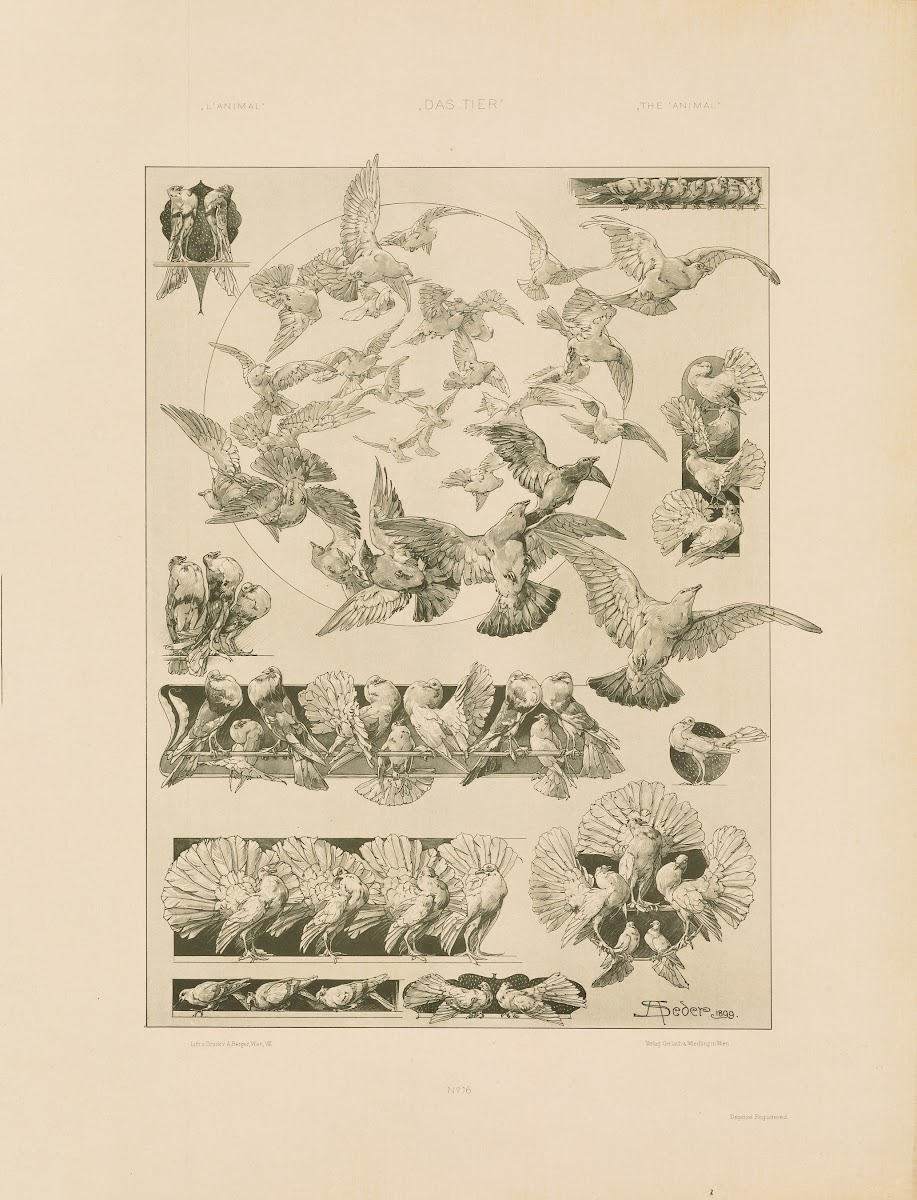 Das Thier in der decorativen Kunst Pl17 1896