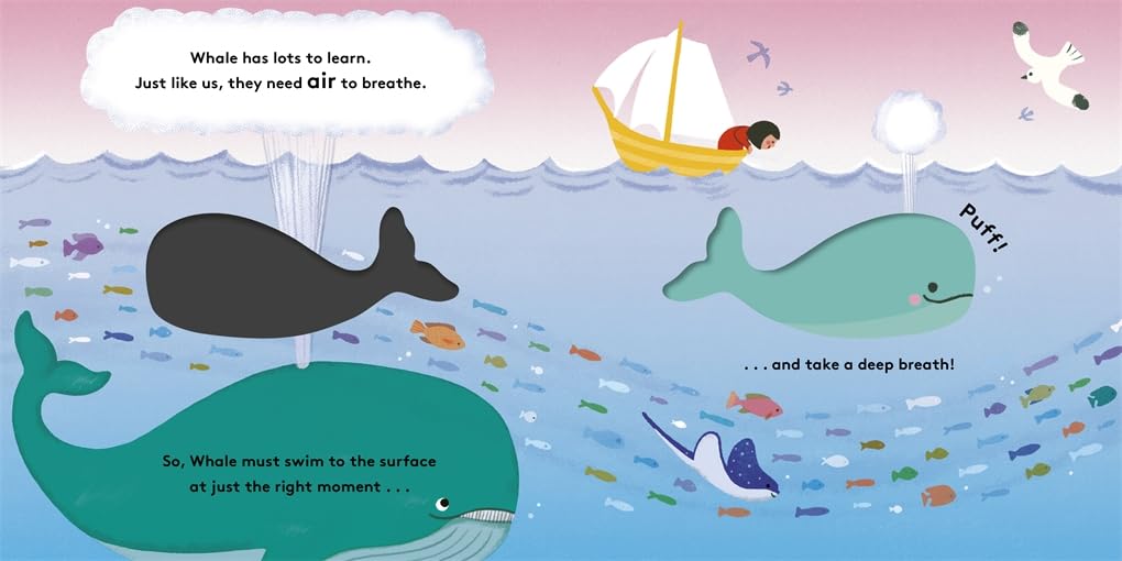 Little Life Cycles: Whale - thumbnail 2
