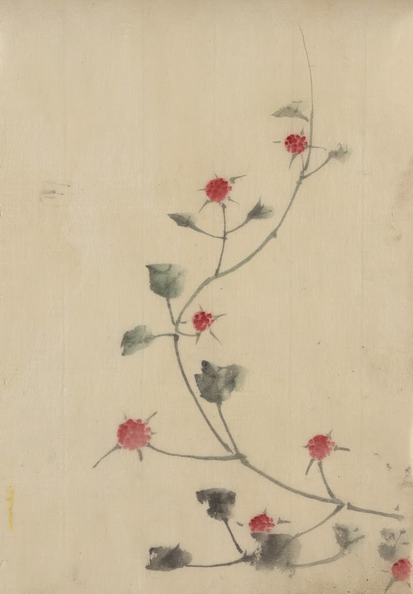 Small red blossoms on a vine 1830 1850