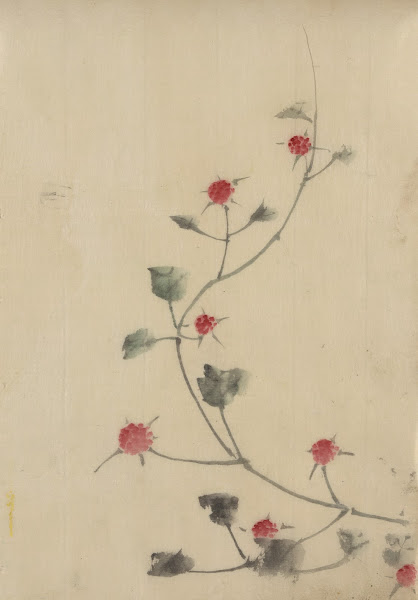 Small red blossoms on a vine 1830 1850