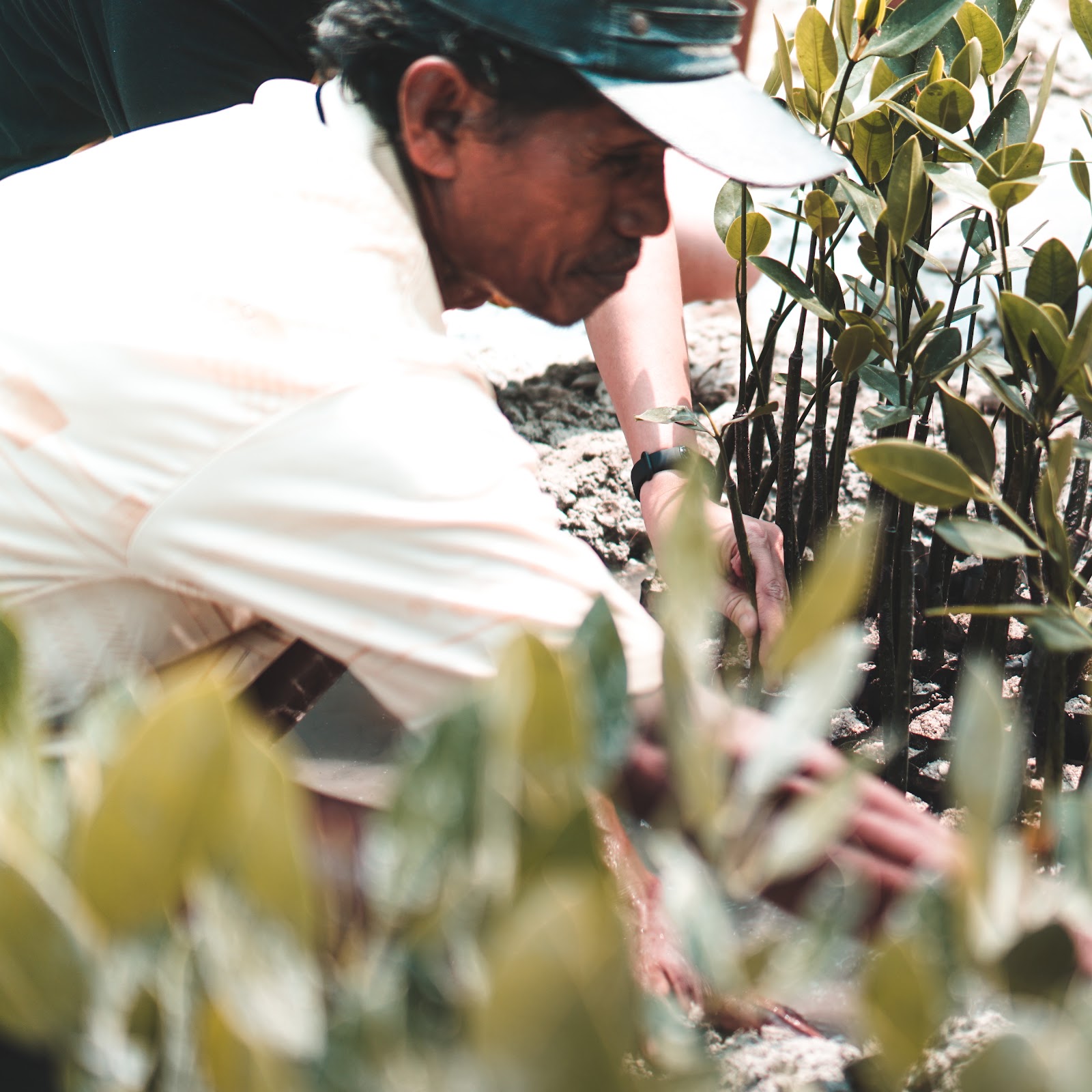 Coastal Communities in Indonesia. Blue carbon ecosystem conservation, climate education, marine and estuarine mangrove, seaweed, seagrass, coral. CarbonEthics Indonesia