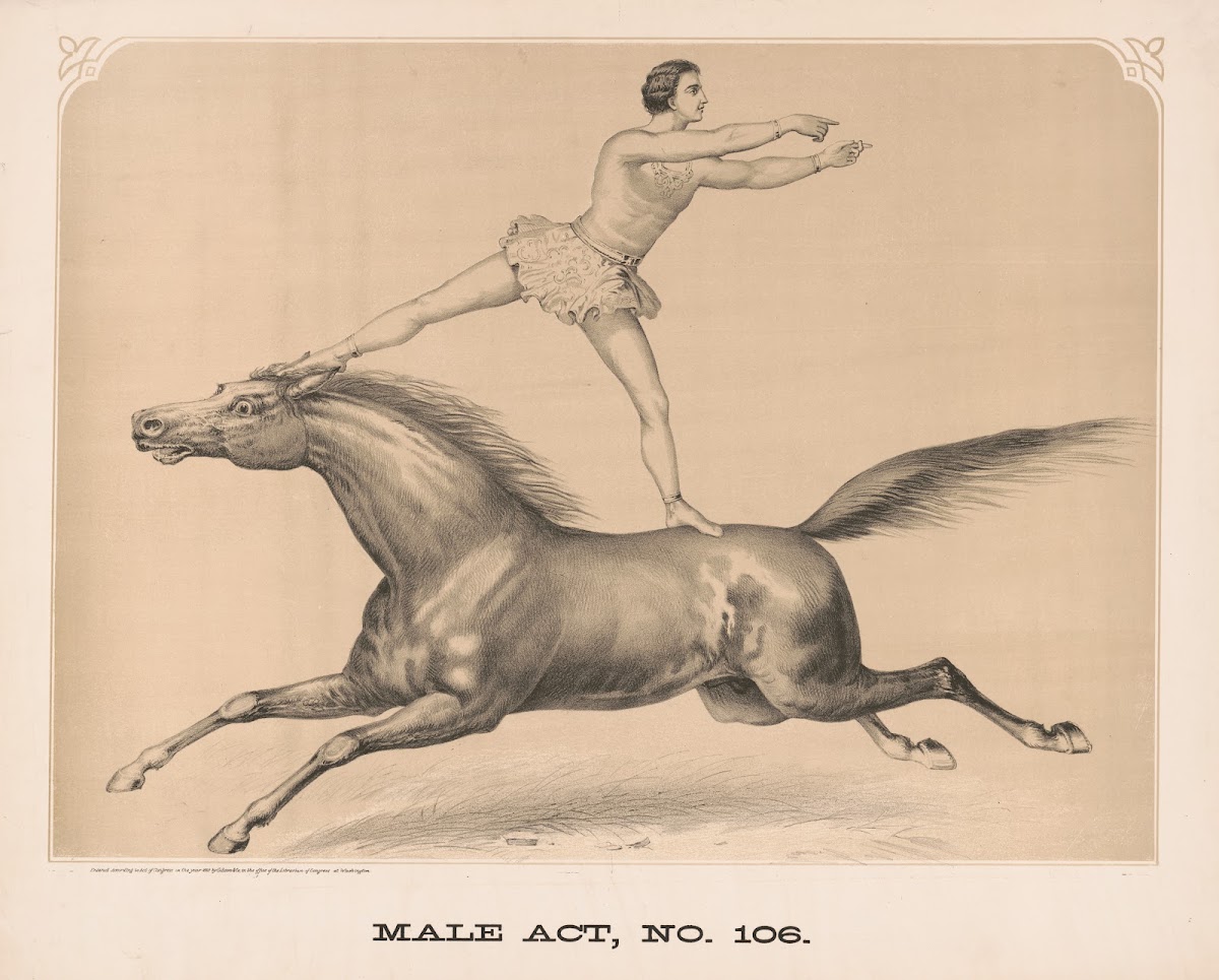 Male act no 106 1872