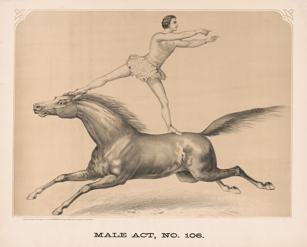 Male act no 106 1872