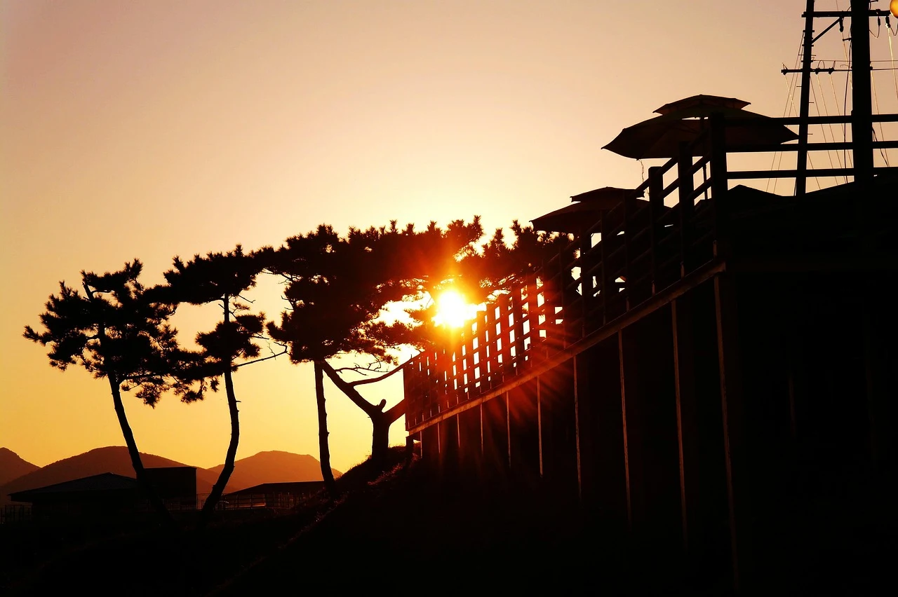 섹션 1 이미지