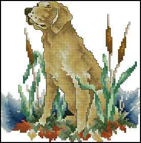 CMP 400176 Golden Labrador