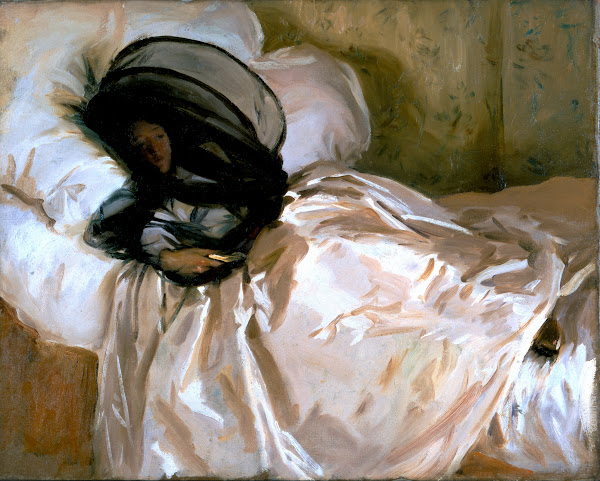 The Mosquito Net