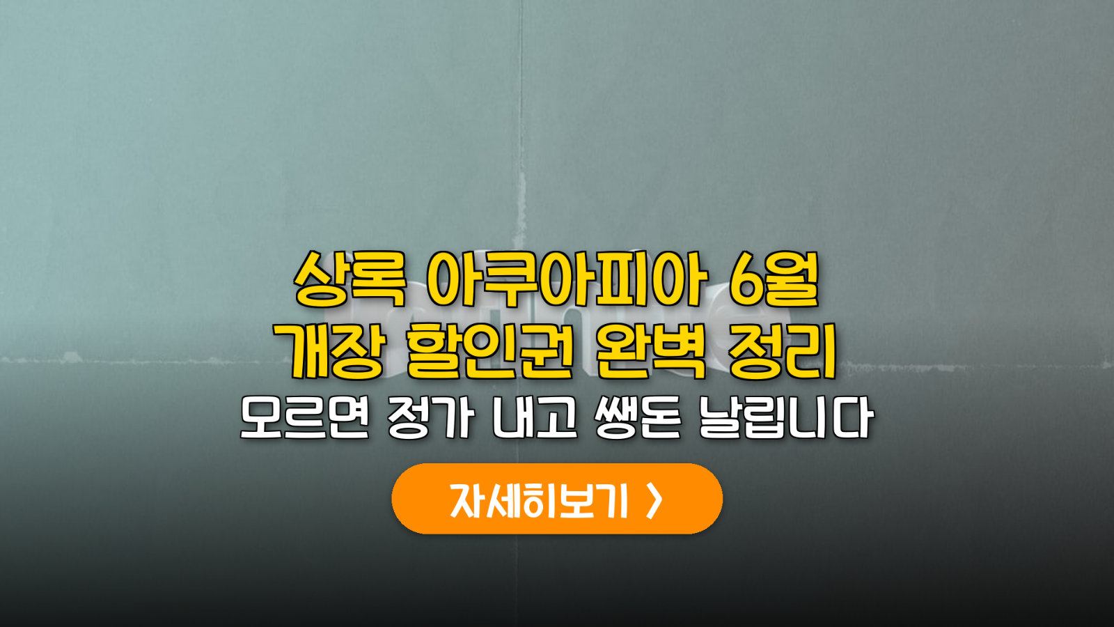 천안 상록 아쿠아피아 6월 할인권 및 필수 준비물