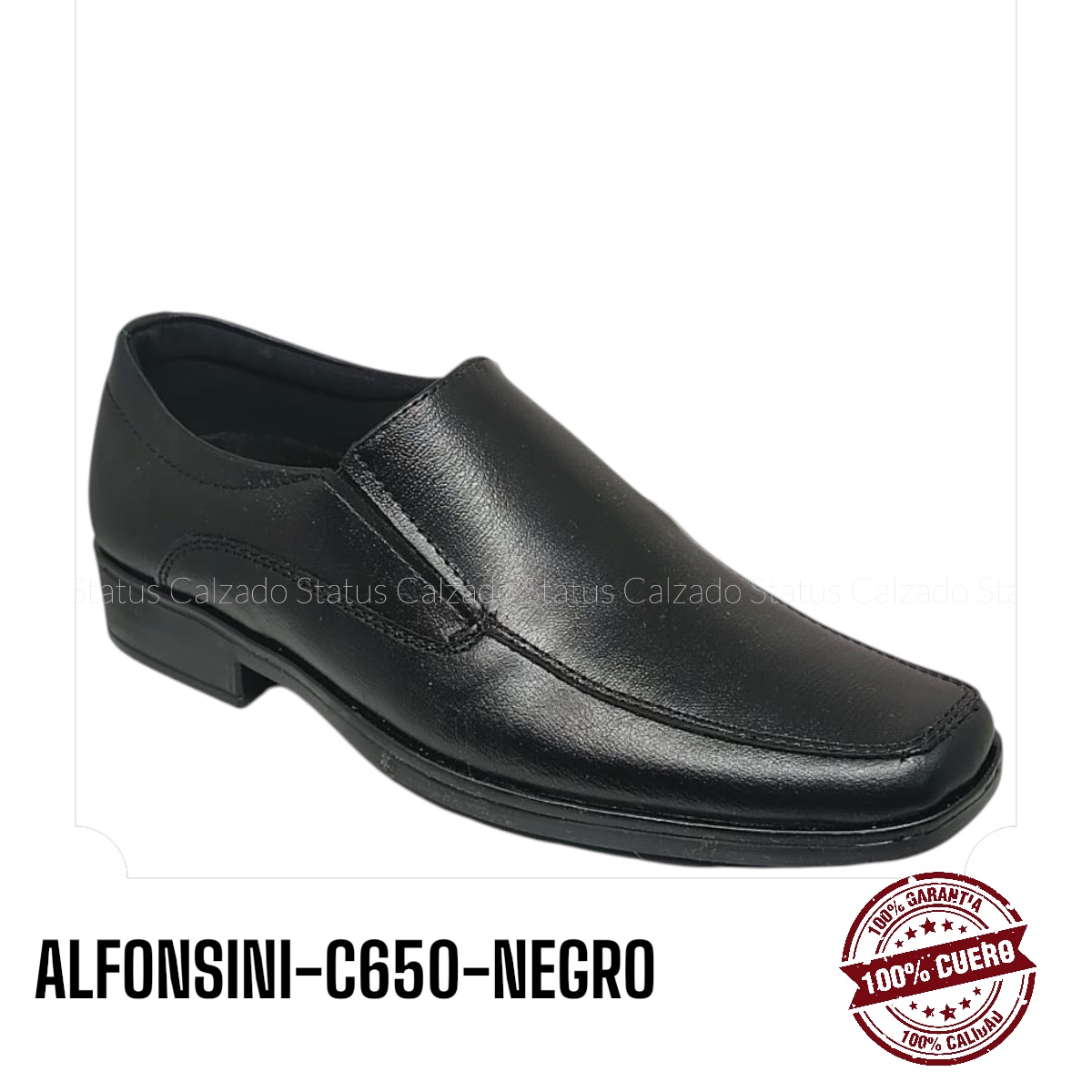 ALFONSINI-C650-NEGRO