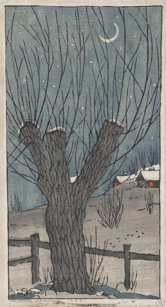 The Willow 1906
