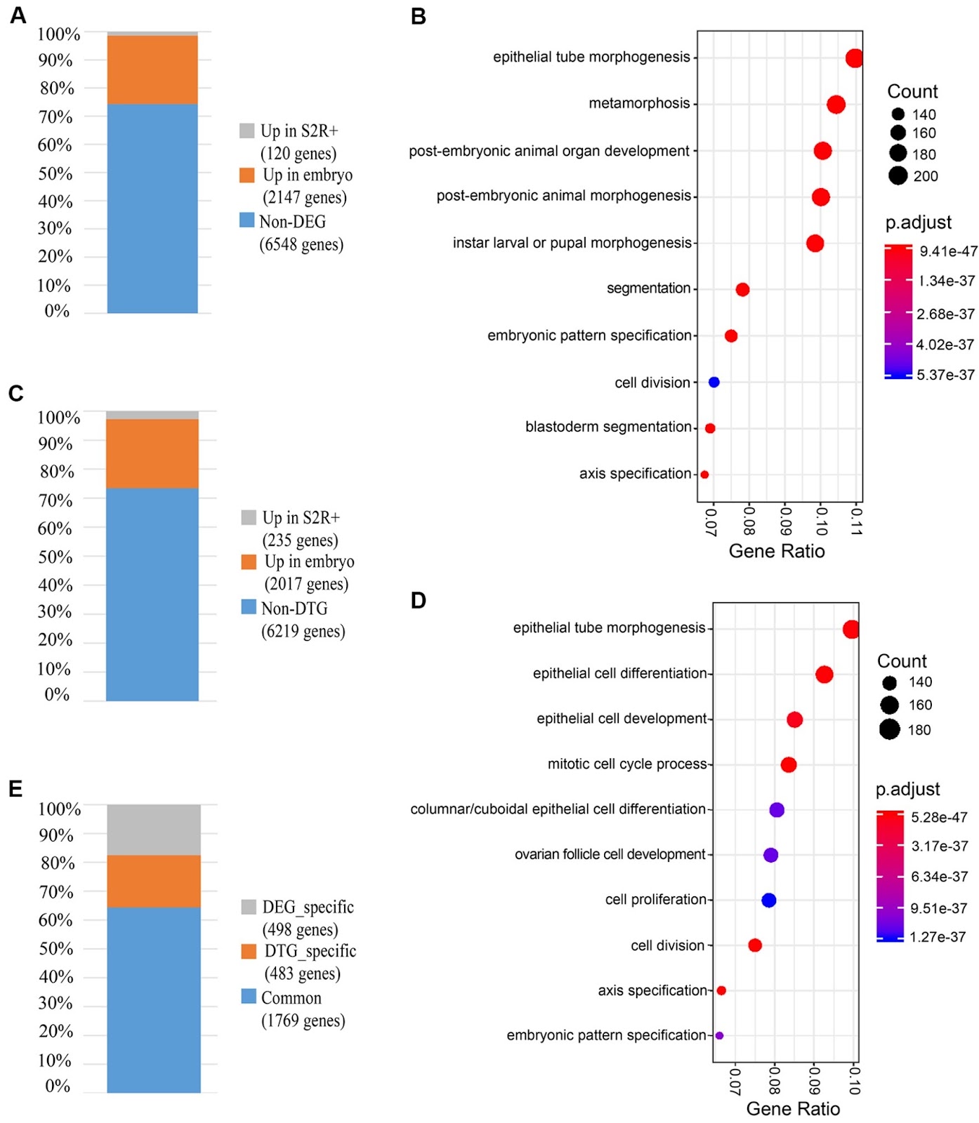 Co-profiling of translatome and transcriptome reveals the regulation of dynamic gene expression during Drosophila embryogenesis