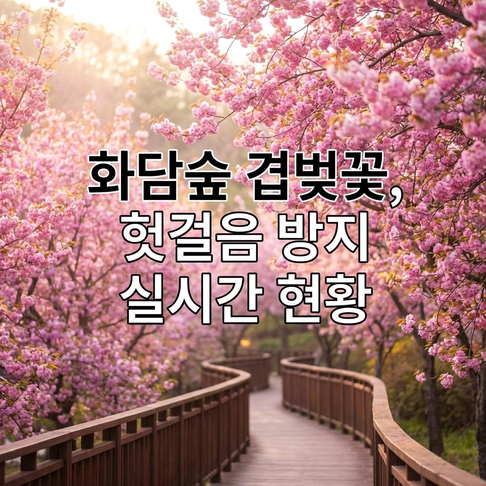 화담숲 겹벚꽃 실시간 개화 및 가족 방문 가이드