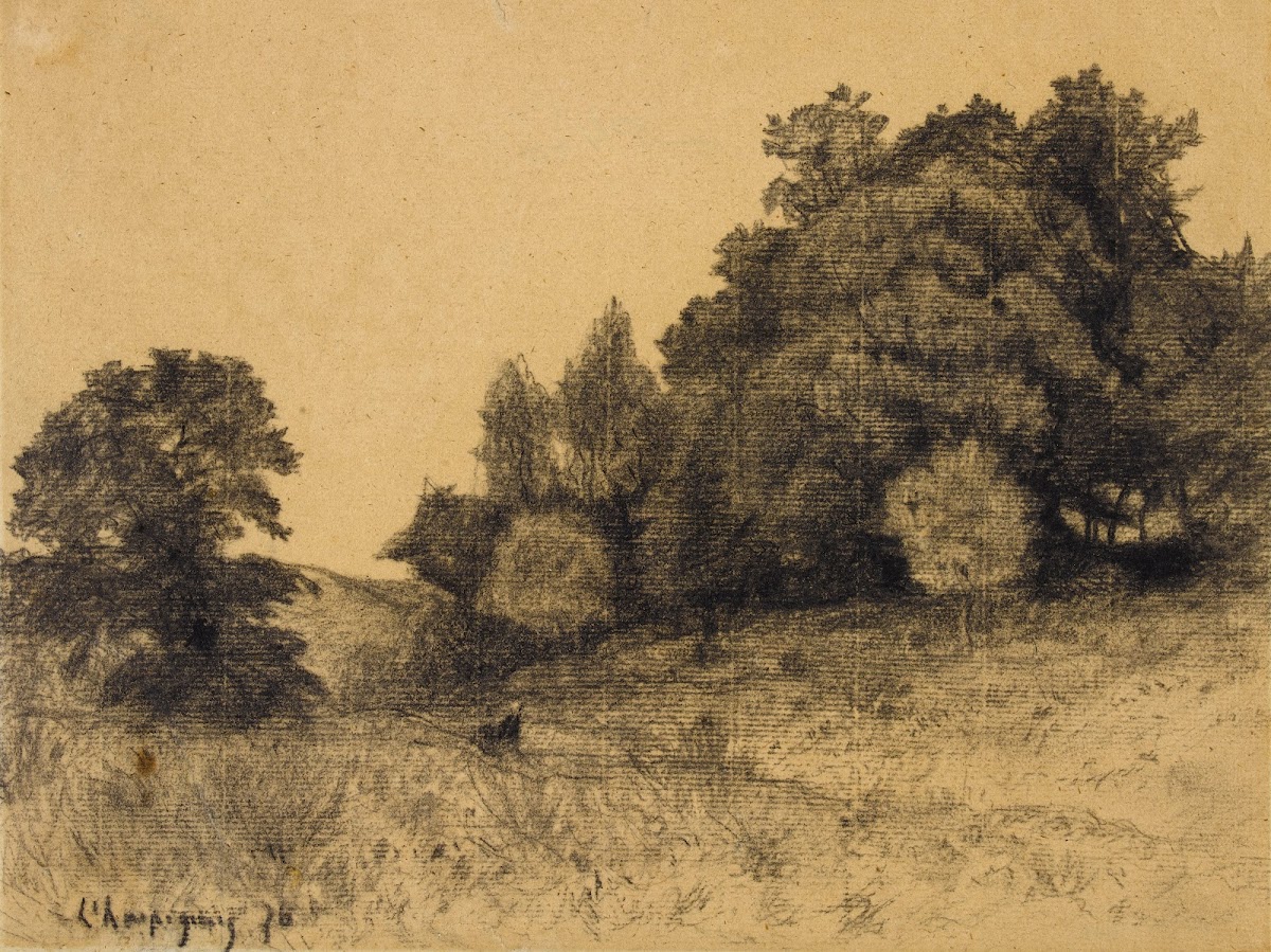 Bouquet darbres 1876