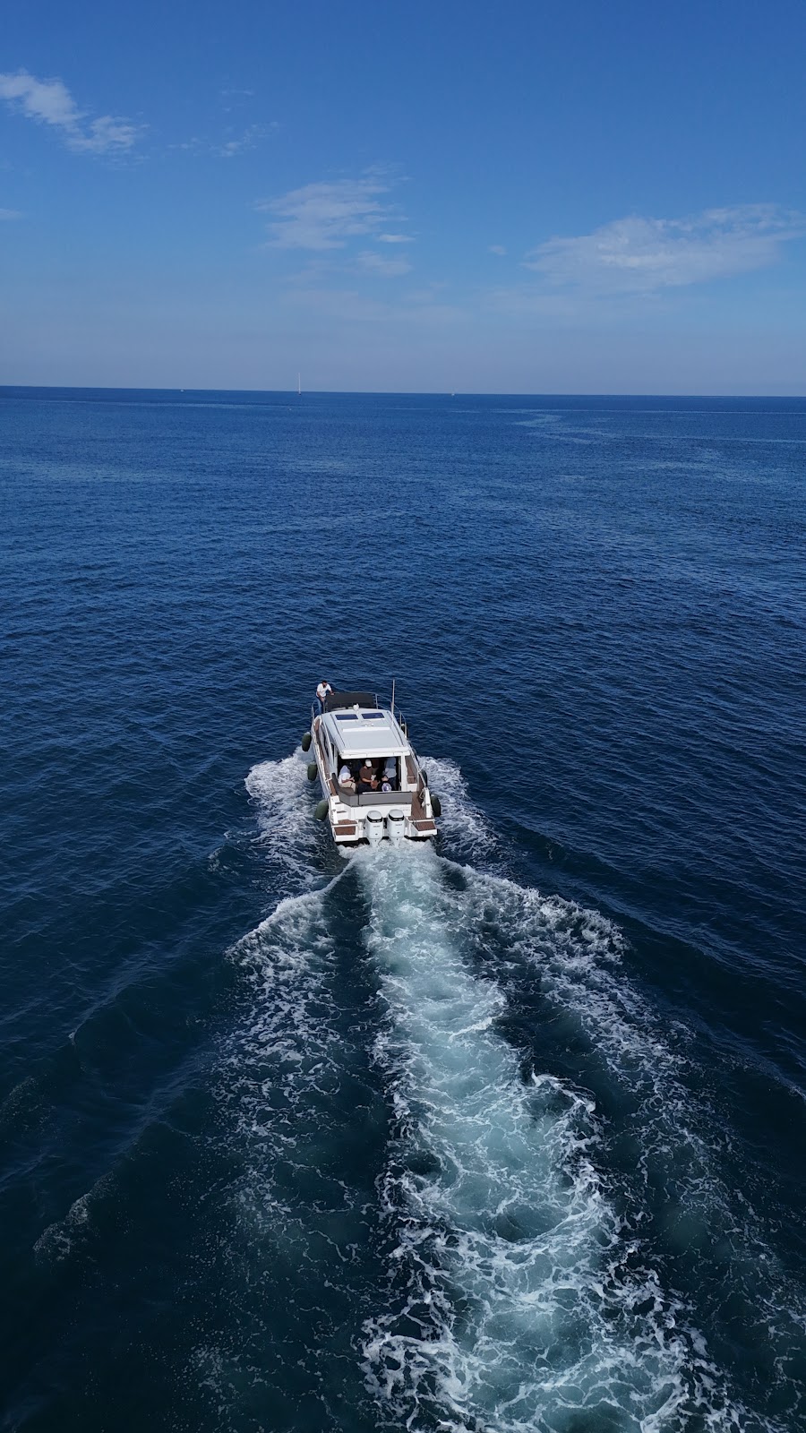 Vega Charter 16