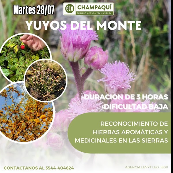 Grilla Semanal de Excursiones