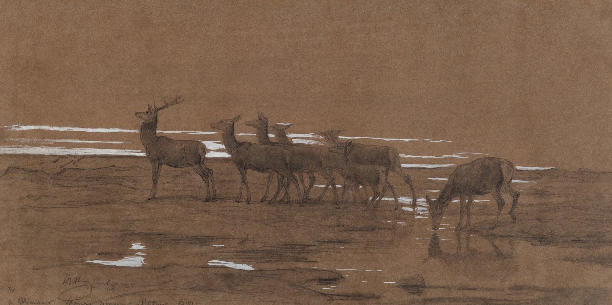The leading stag 1864