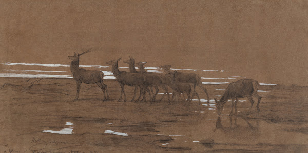 The leading stag 1864