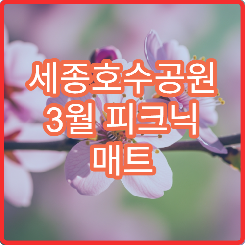 세종호수공원 3월 피크닉 매트 대여 가능한 호수 존