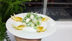 Cuối cùng bày trí vỏ 5 vỏ cam đã cắt tỉa ra đĩa sao cho đẹp mắt, dùng muỗng gắp salad cho vào gọn dàng giữ đĩa là có thể dọn lên bữa tiệc rồi nhé! Món salad đậu hũ non trộn cam và rau mầm đơn giản và ngon miệng, thích hợp cho chị em ăn kiêng giảm cân rất hiệu quả. Đặc biệt món này còn có thể dùng cho cả những ngày ăn chay nữa nhé!
