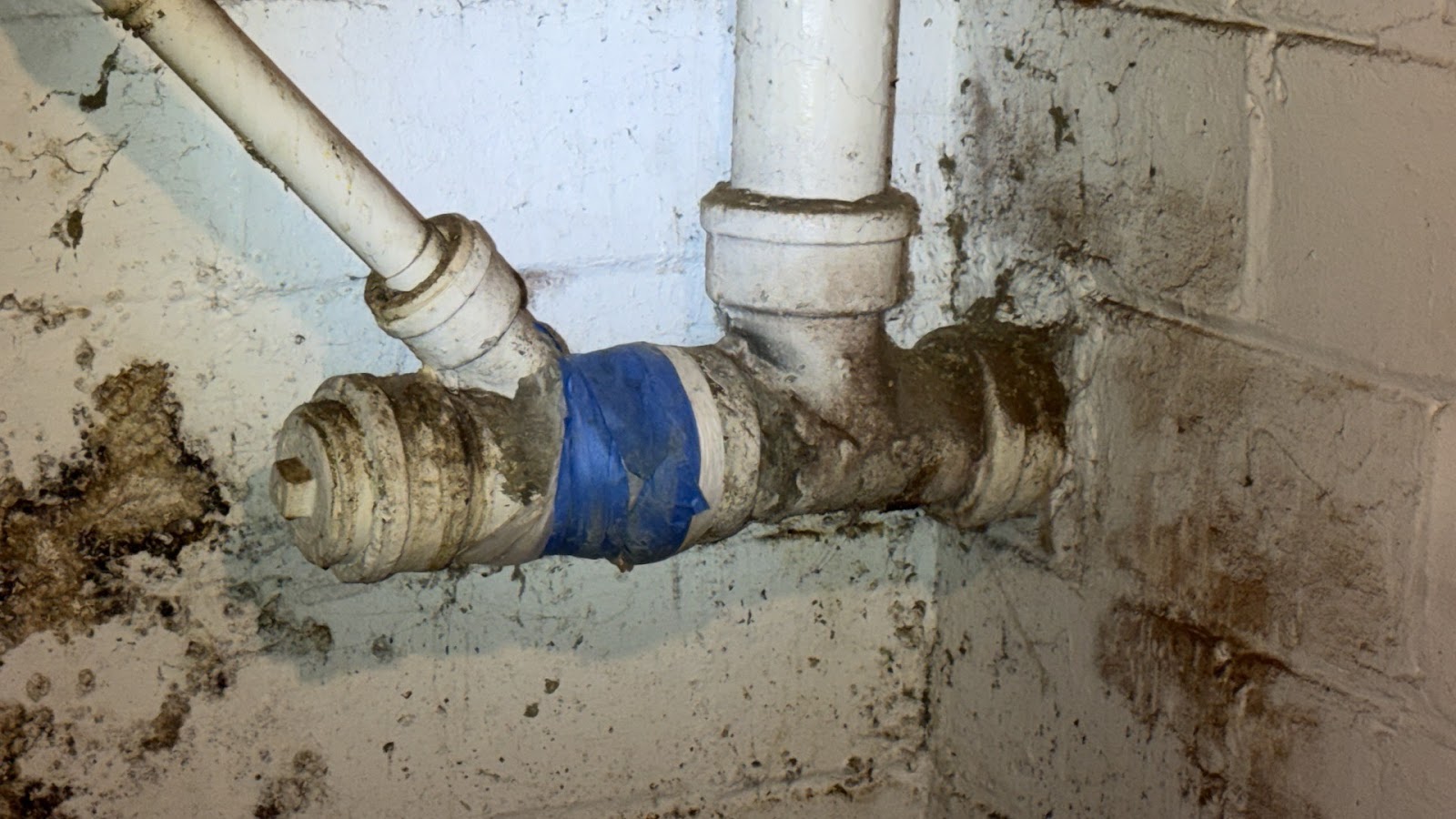 Copy of IMG_2026-03-13_14-50-51_176.jpg