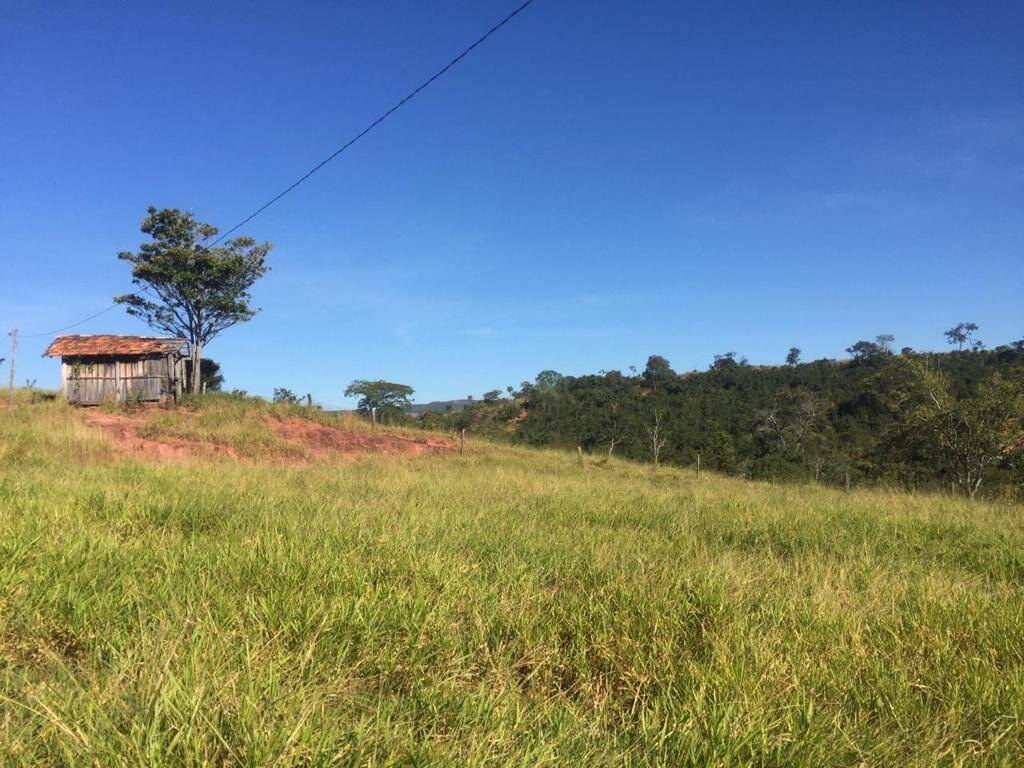 Fazenda em Caiapônia-GO 6