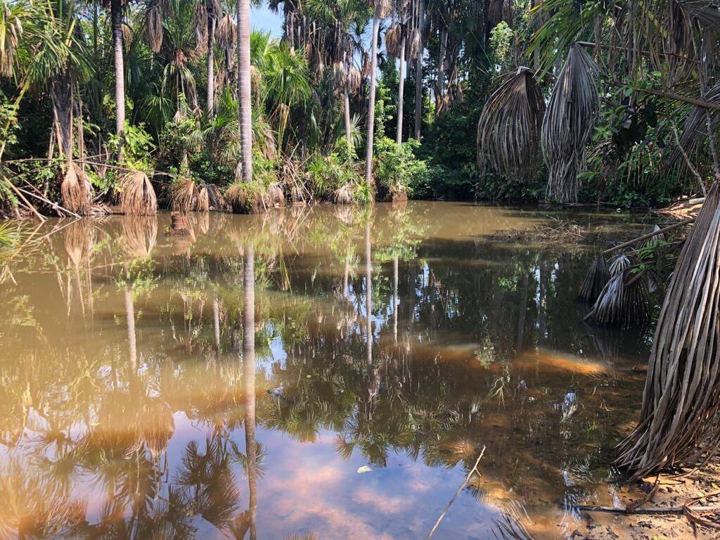 Fazenda em Barra do Ouro-TO 10
