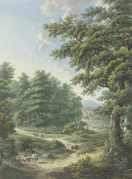 Umzäunter Weideplatz im Wald im Vordergrund eine Viehtränke