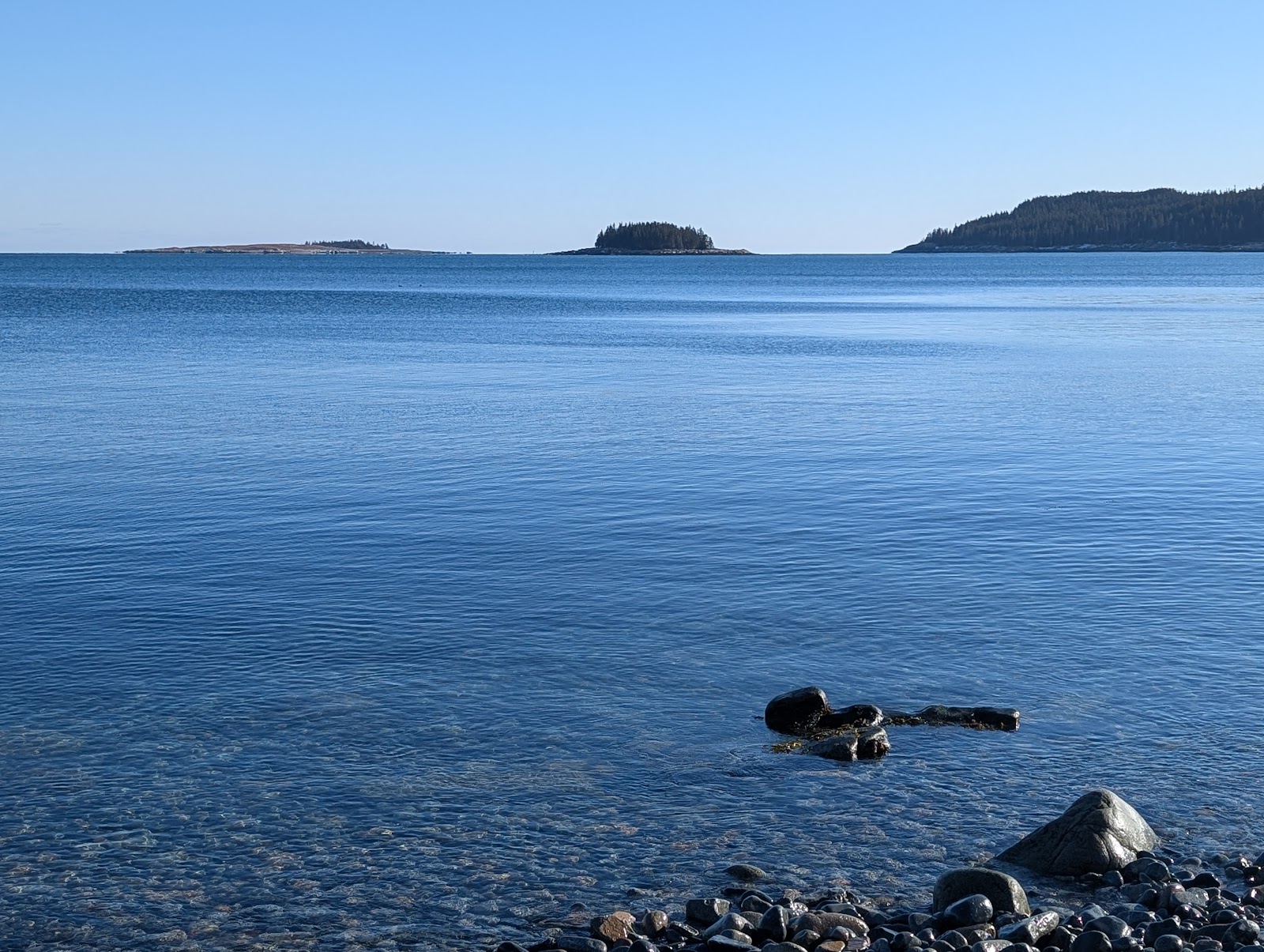 Schoodic Loop water view