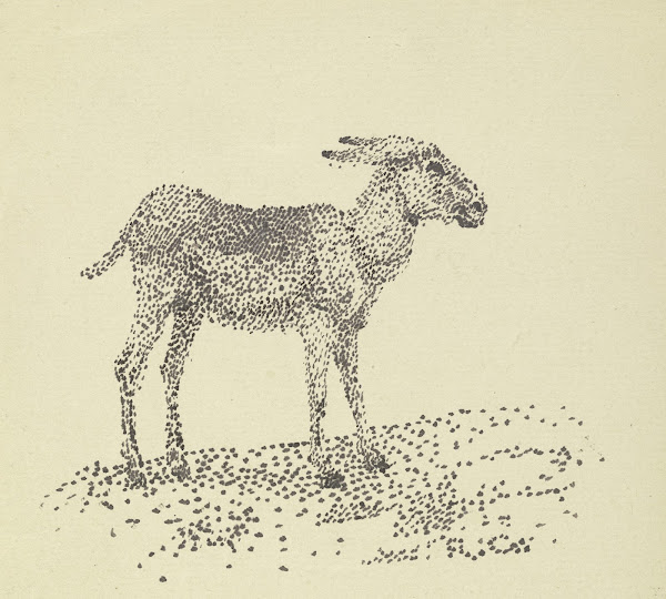 Rudolf Gudden