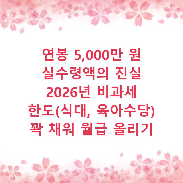 연봉 5,000만 원 실수령액의 진실 2026년 비과세 한도(식대, 육아수당) 꽉 채워 월급 올리기