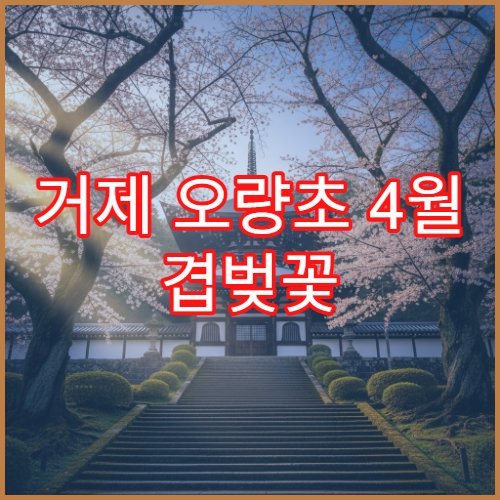 거제 오량초 4월 겹벚꽃 캠핑 차박 해변가 추천 사이트 예약 팁