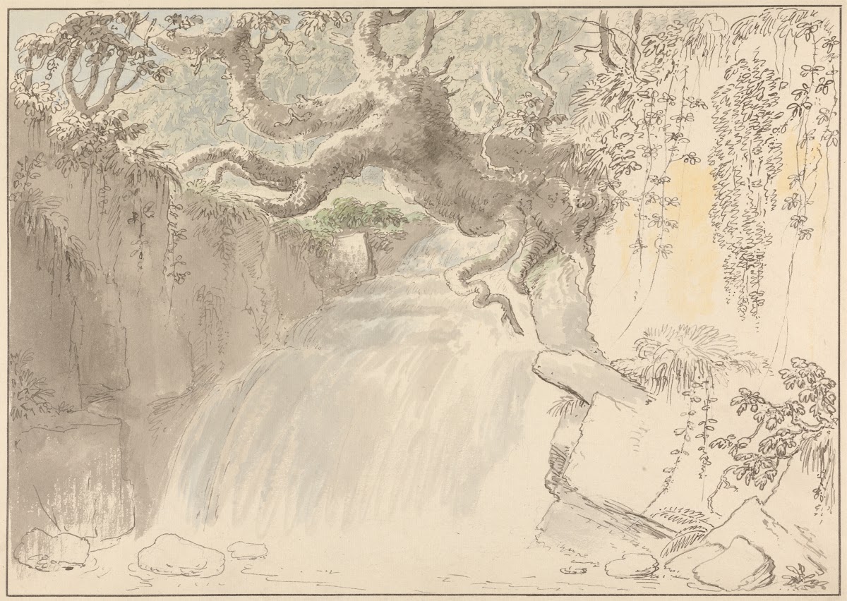 Waterfall and Tree Trunk