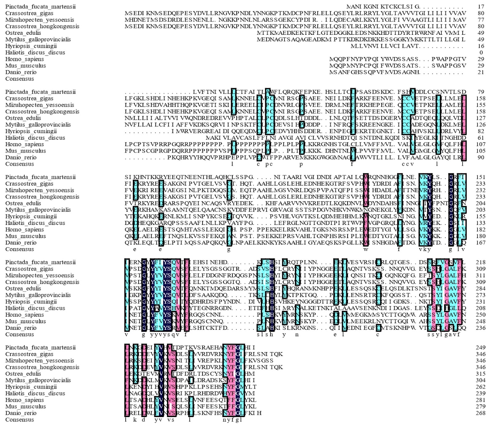 Regulation of immune responses by a tumor necrosis factor in pearl oysters: insights from PmTNF gene expression and function