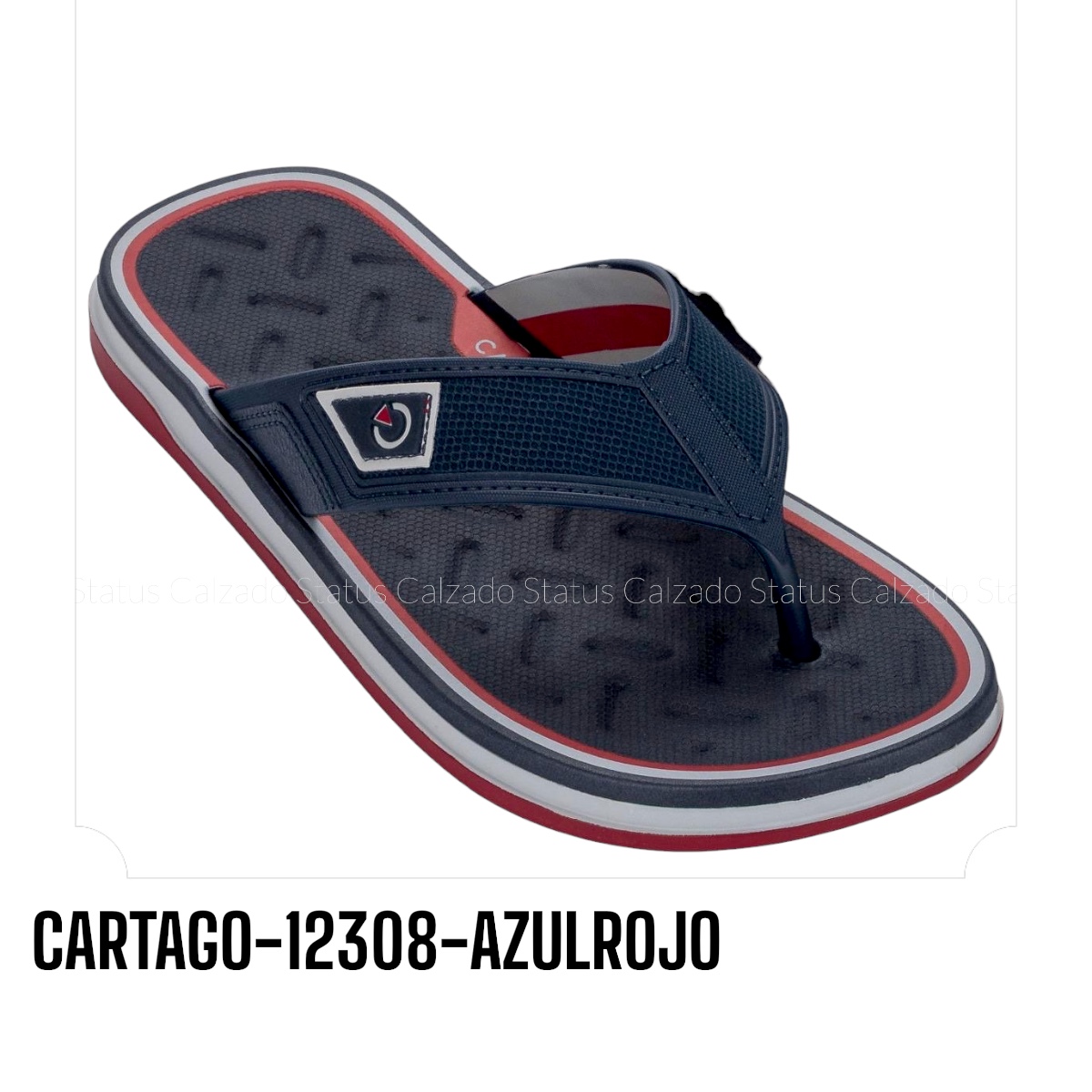 CARTAGO-12308-AZULROJO