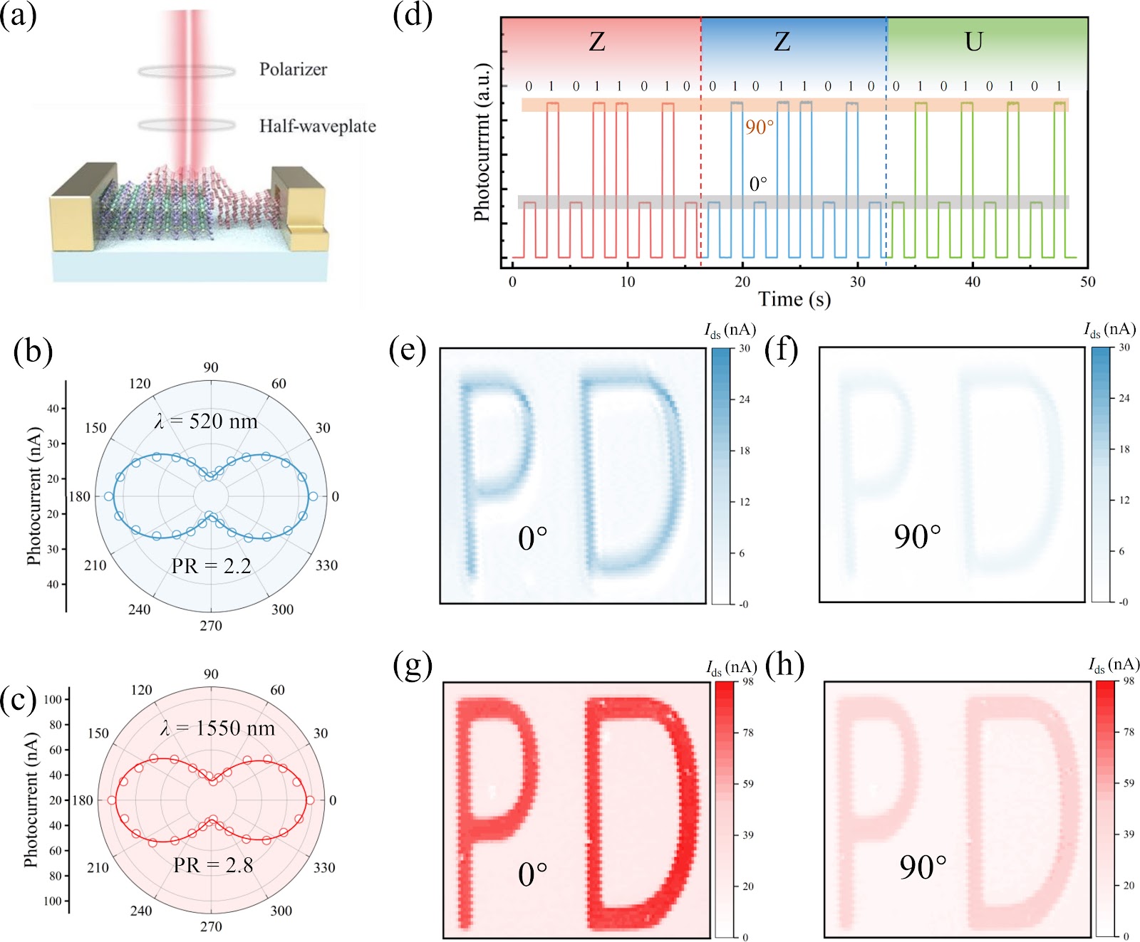In-situ grown 1D Te/2D Bi2O2Se van der Waals heterostructure for high-performance self-powered polarization-sensitive photodetection
