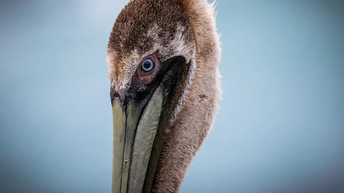 의료비 영수증에 표기된 검사 및 치료용어 쉽게 풀어보기