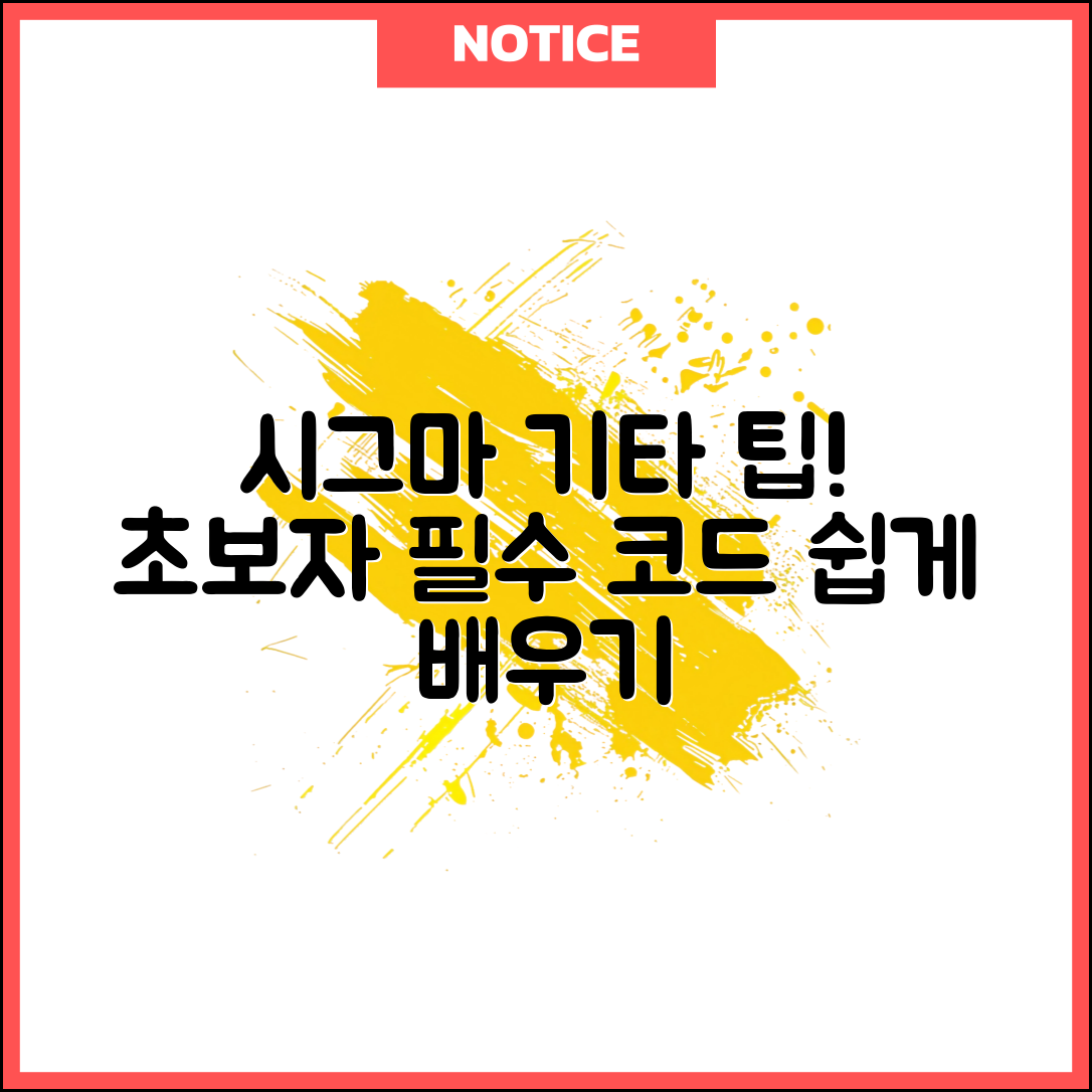 시그마기타로 배우는 초보자용 팁은?