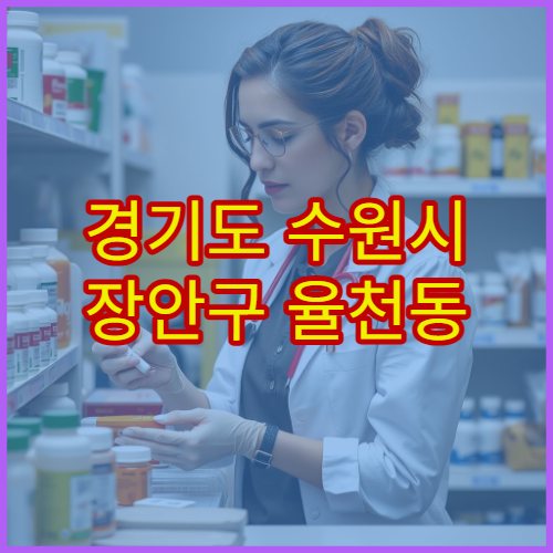 경기도 수원시 장안구 율천동 설날 명절 당직약국 영업시간 확인