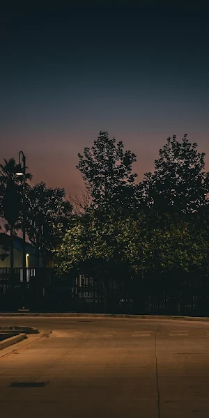 Night Scene, City Street, Twilight, Palm Trees 5K Wallpaper Background