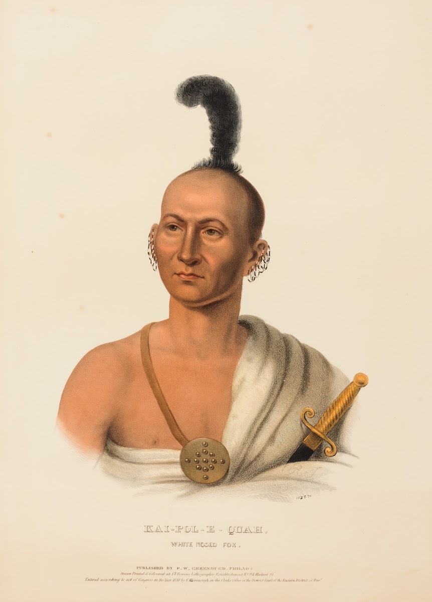 Kai Pol E Quah White Nosed Fox ca 1836