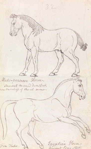 Medo Persian Horse and Egyptian Horse 1837