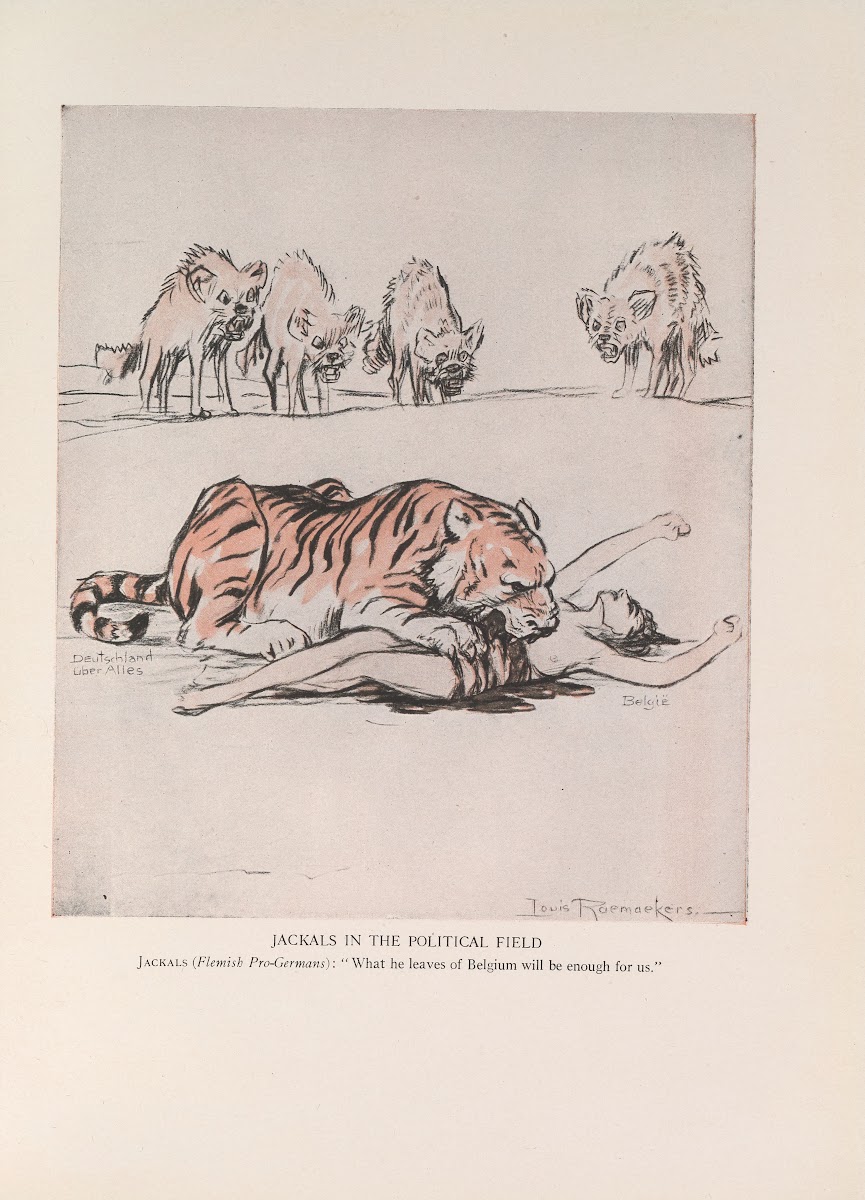 Jackals in the Political Field 1916 1917