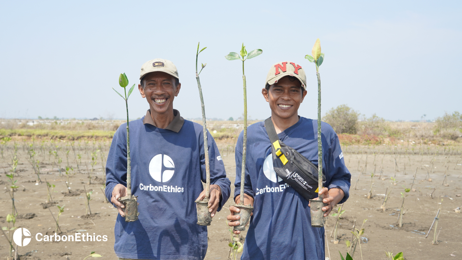 Two local community members holding a young mangrove saplings at a planting site, wearing CarbonEthics shirts, with a background of a restored mangrove area in Tanjungpakis, Karawang, West Java.