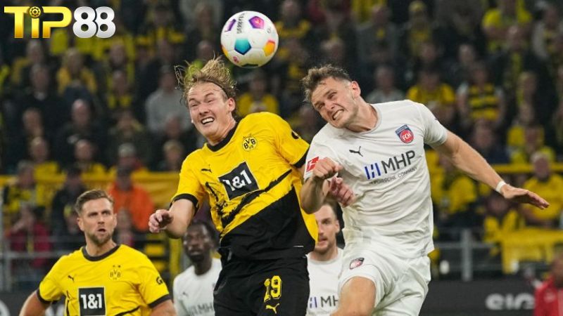 Lịch sử đối đầu giữa Borussia Dortmund vs Heidenheim
